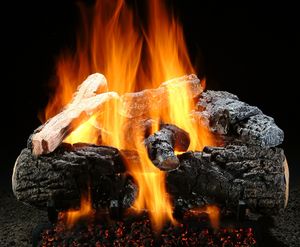 21" Magnificent Inferno Charred Log Set