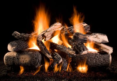 The 48" Kodiak Char Double Stack Log Set, available at Tate Builders Supply in Erlanger, Kentucky