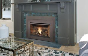 Radiant Plus Large Insert